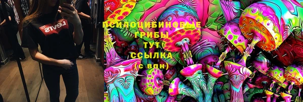 ГАЛЛЮЦИНОГЕННЫЕ ГРИБЫ Богородск
