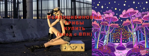 синтетический гашиш Богородицк