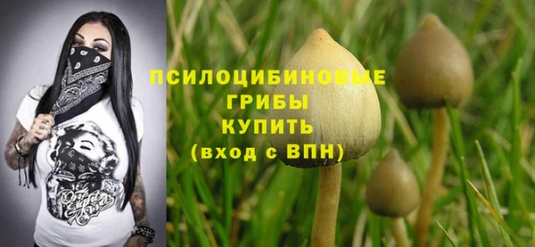 синтетический гашиш Богородицк